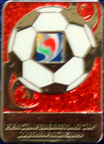 Verband-FIFA-Confed-Cup/FIFA-CONFED-2009-South-Africa-Logo-2.jpg
