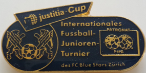 Verband-FIFA-Sonstiges/FIFA-Blue-Stars-1.JPG