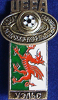 Verband-UEFA-Youth/UEFA-U18M-1984-Russia-1c-Wales.jpg